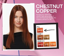 Chestnut Copper